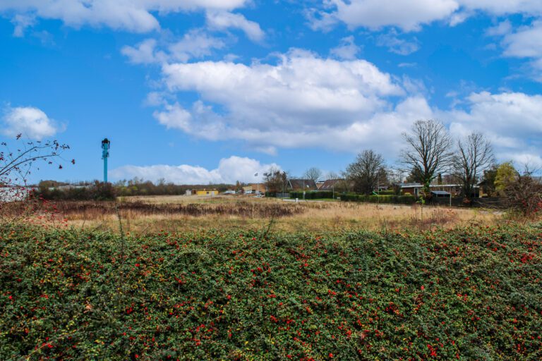 BREDEVEJ - SKÆRING