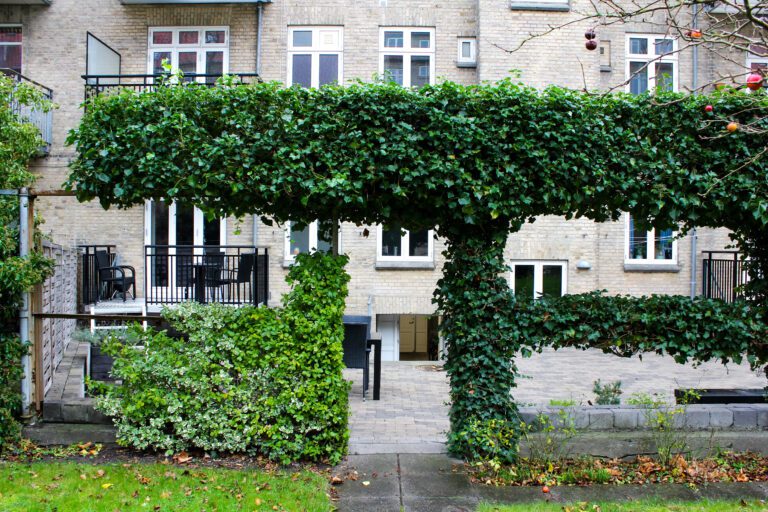 F. Vestergårdsgade